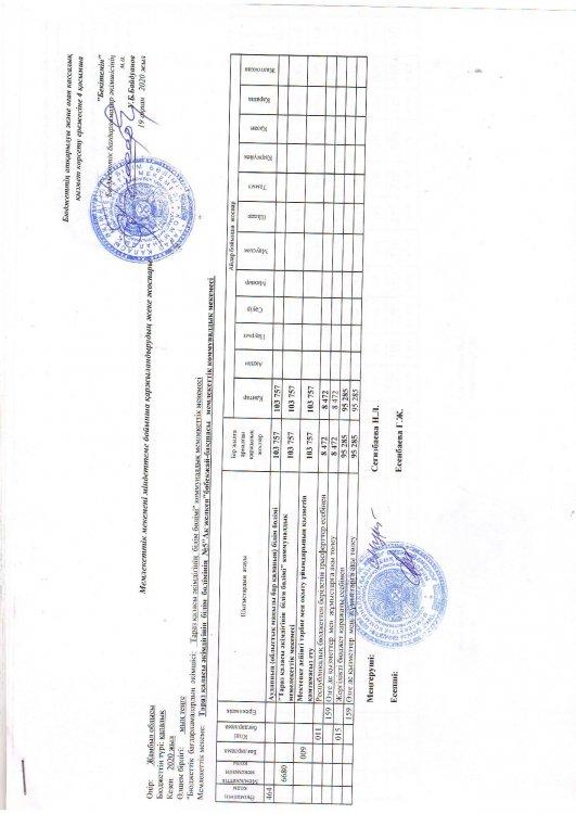 Детальный план на 19 февраля 2020 года